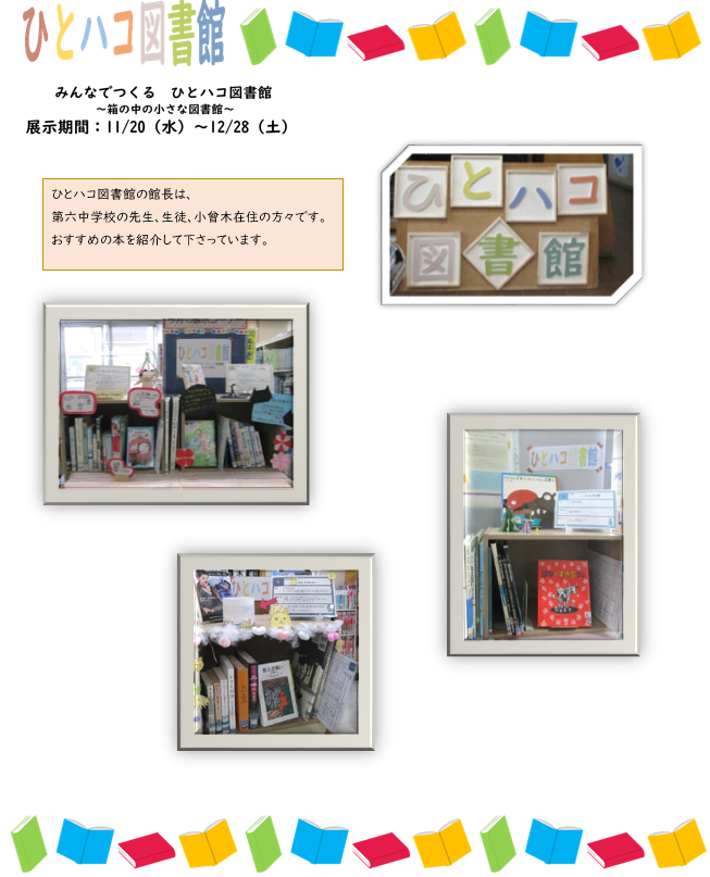 241123小曾木